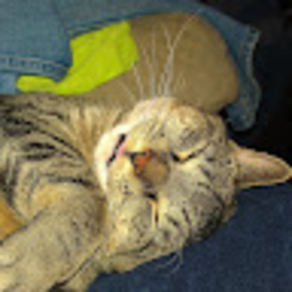 Meet your Posher, Charles - Picture 1 of 1